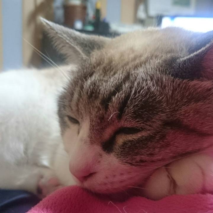 Af4a0177 c4da 4318 9407 ccb318de3c6a