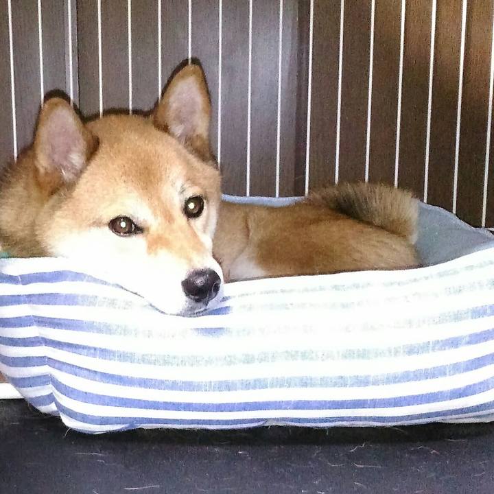 Af4a4b1b b0ad 47af a366 6068897ce06b