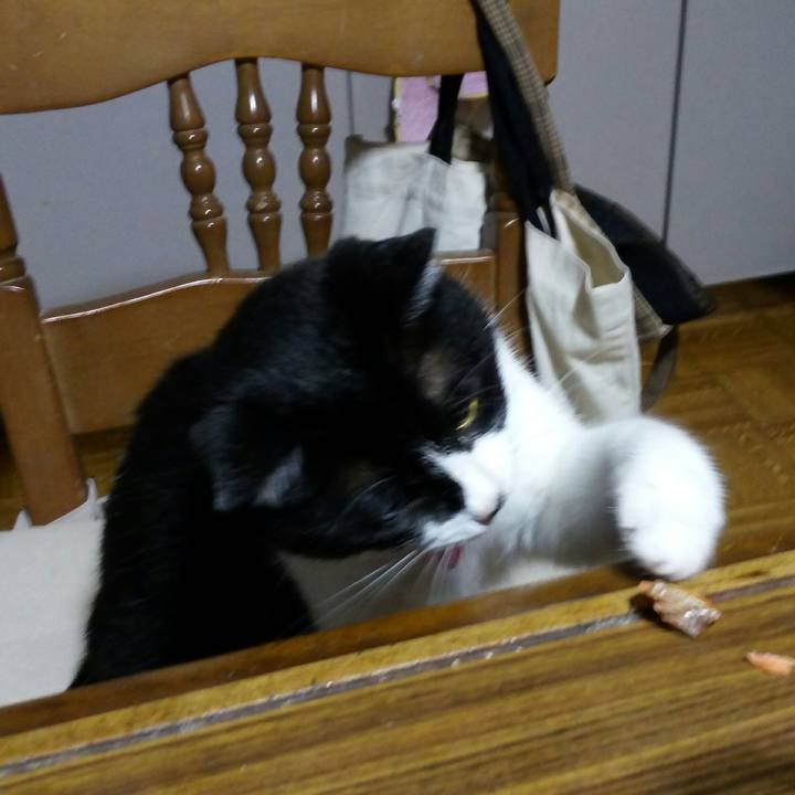 Af4acb5e 8e64 41f8 bd5d 3305689dd415