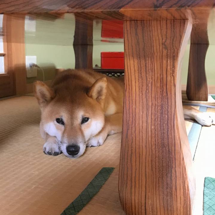 Af4c5cfb 3433 4eb0 931f c7a7f2d5c660