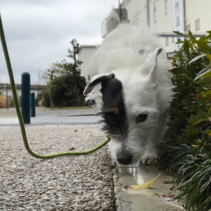 Af4ca217 5a7e 442f b4c3 522b5f78869c