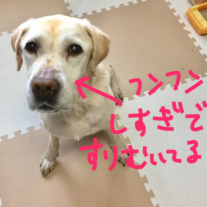 Af4ccced 0009 4d62 9cc6 61dae0d43cba