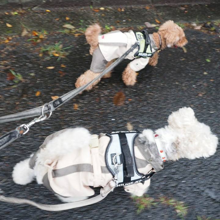 Af4ccedc a520 4bf7 8f9c 3ab5cf70c612