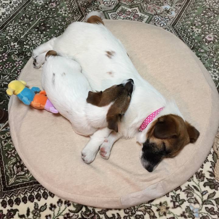 Af4e3f84 e2c7 487b a4a6 f6b5decf4721