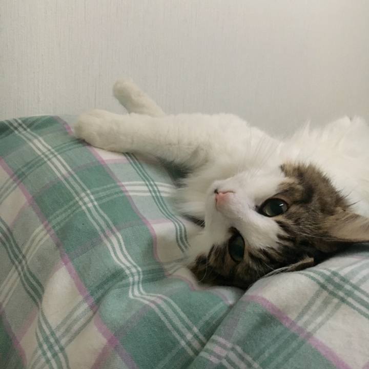 Af4e42d6 bfbe 47e2 bf97 48286b7b043c