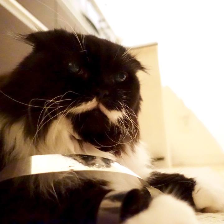 Af4ec485 3b81 4f79 977b ec177dbaa750