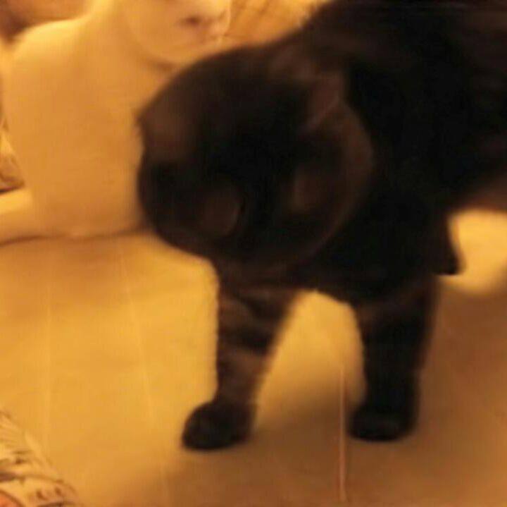 Af4ef3fe 8efb 4b0b 9021 9f9ba815ee27