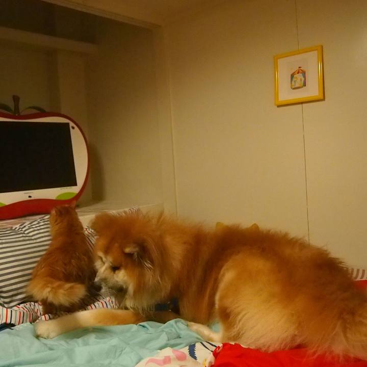 Af4f84ce 71ec 4e14 822c 484bf6165e34