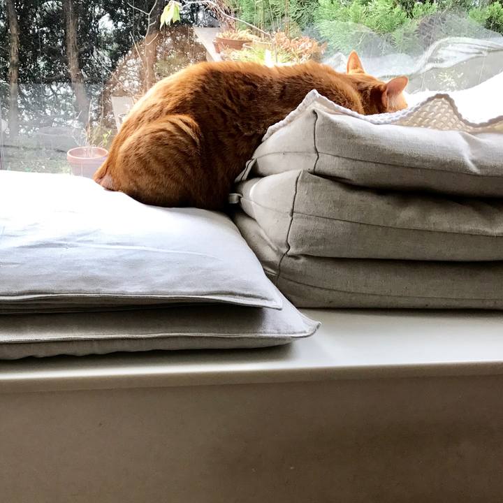 Af4fb0b0 2365 45b9 a4f9 b1f659f4419a