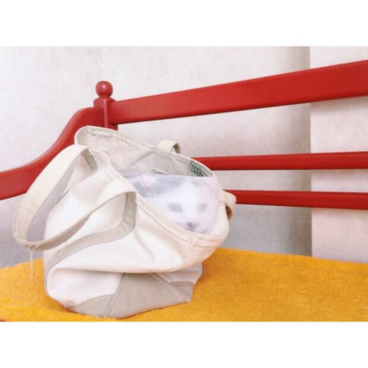 Af4fdc3f 0375 47d4 82c4 ff746d550b97