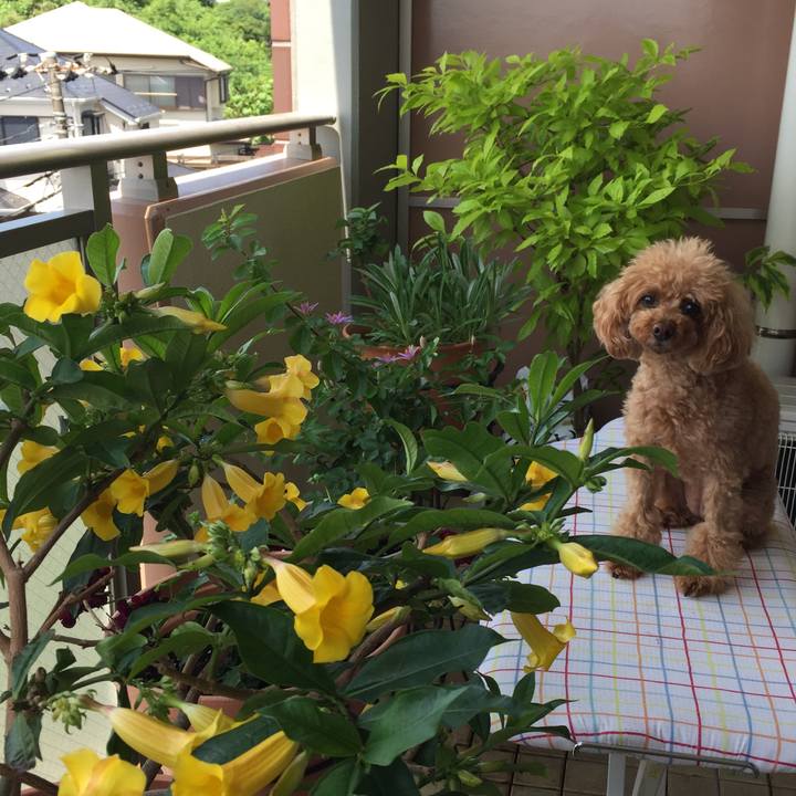 Af4fdcf5 2a7d 4cd6 859c efa2a5cd950e