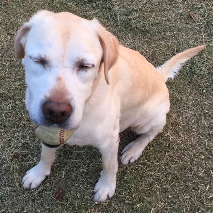 Af501023 2372 474e bb22 315c6a87e38e