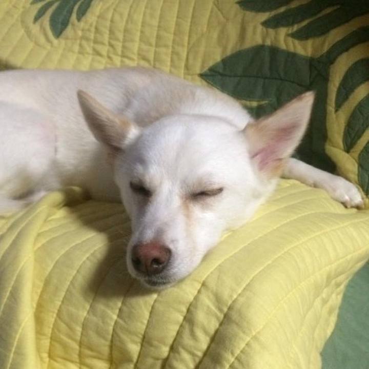 Af5064f3 fd09 458b 9b8b 56d1e0958291