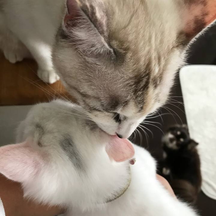 Af50d7f3 b73b 47e0 bbc1 5aa8a71ddd4f