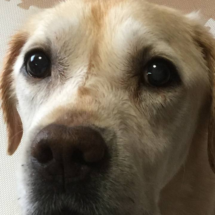 Af50f3d0 4f02 4fe5 b6c4 07461ba6010d