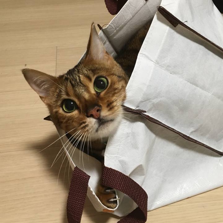 Af51114b d073 43d3 bcf3 88d859f5f468