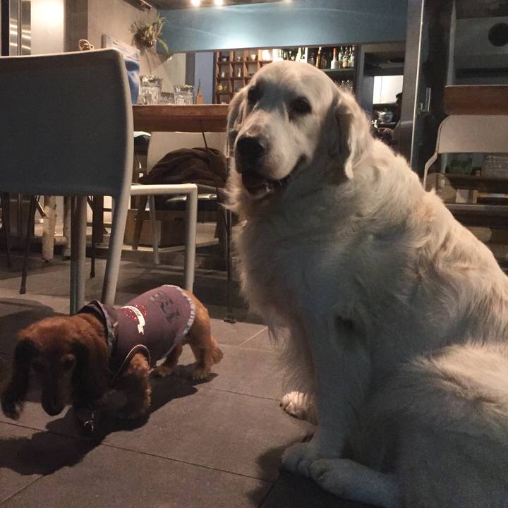 Af512367 1596 48cc 8be5 cb5b5bac4c83