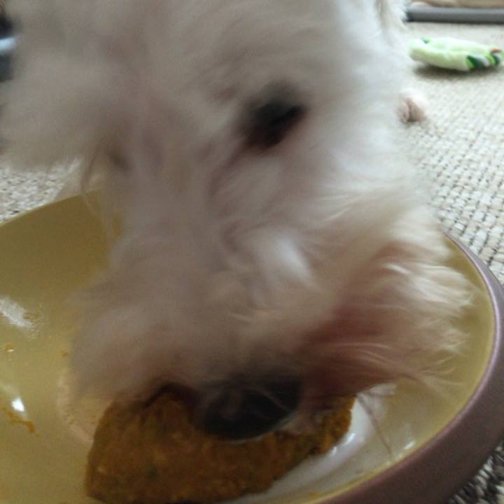 Af515a0c 52f0 4ab0 9fdb 62bf9cca2040