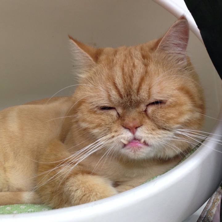 Af515cb1 0f18 4c4f 8775 bc191b60ec6d