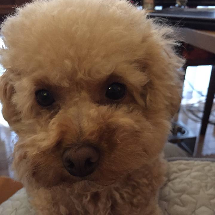 Af5170db 6c68 454f b471 a09f8189c8c4