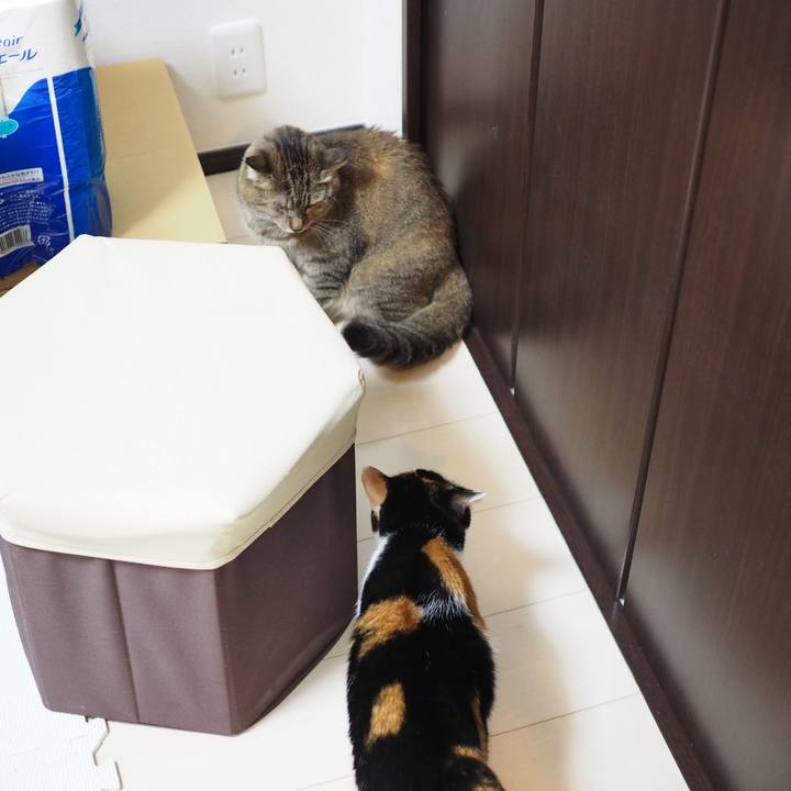 Af528c9d 658b 4a76 8a6c 787d930cb804