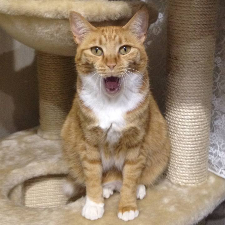 Af5293bb 7c41 4de0 96d8 8aa1111cc06a