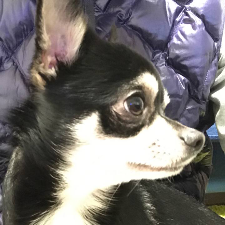 Af530f25 bdc3 41bd b1fc 609fc549ded0