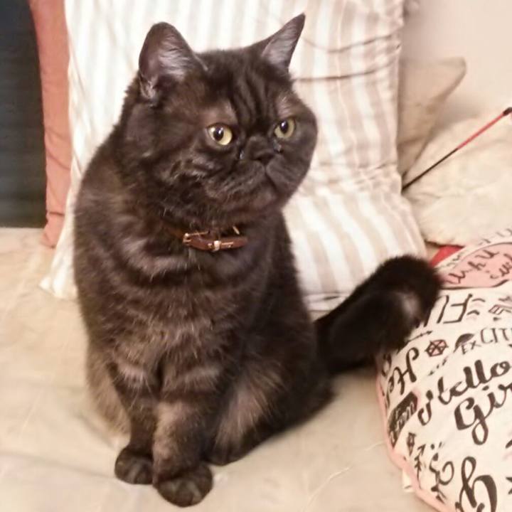 Af5323fb 0eda 4518 8d9f d704006b7723