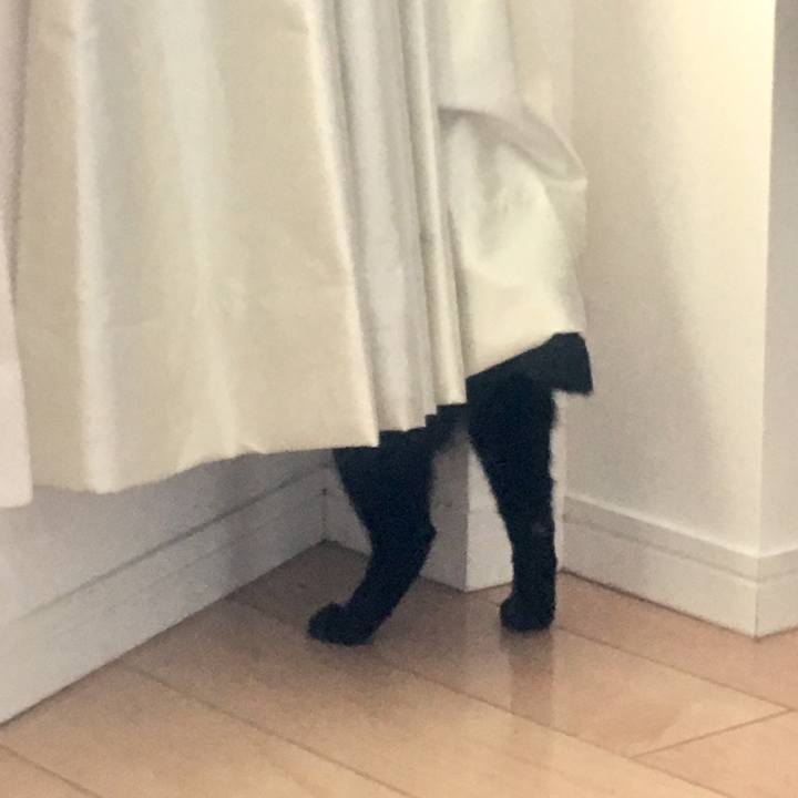 Af53a76f 9f81 4fa4 bcba cbda86deabea