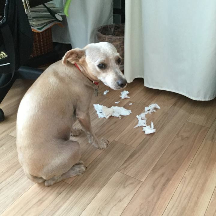 Af54150b 44f6 49ec 9927 37ff98341b2f