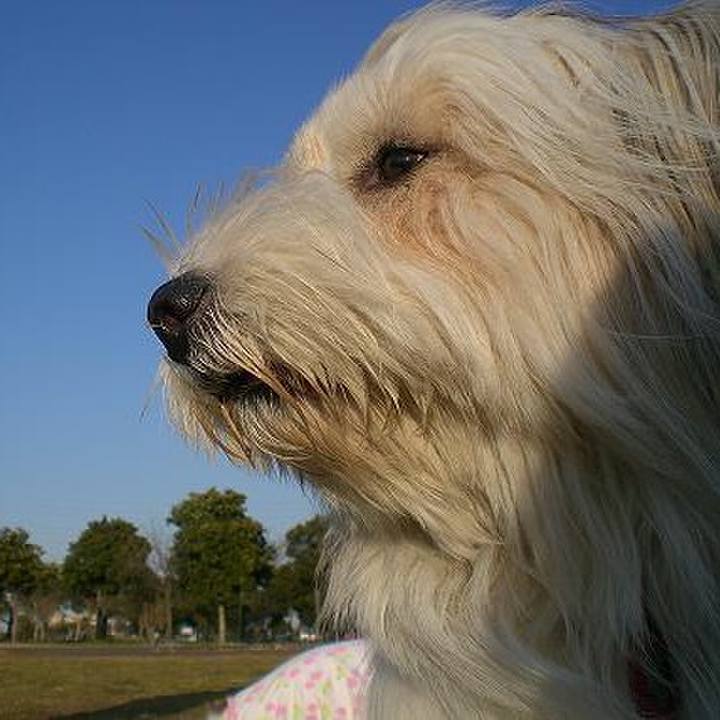 Af546cb8 e0b3 4270 b571 e998a0cd97ff