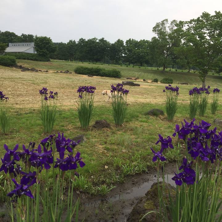 Af54e207 52ab 403f b615 f9cd6946ab5f