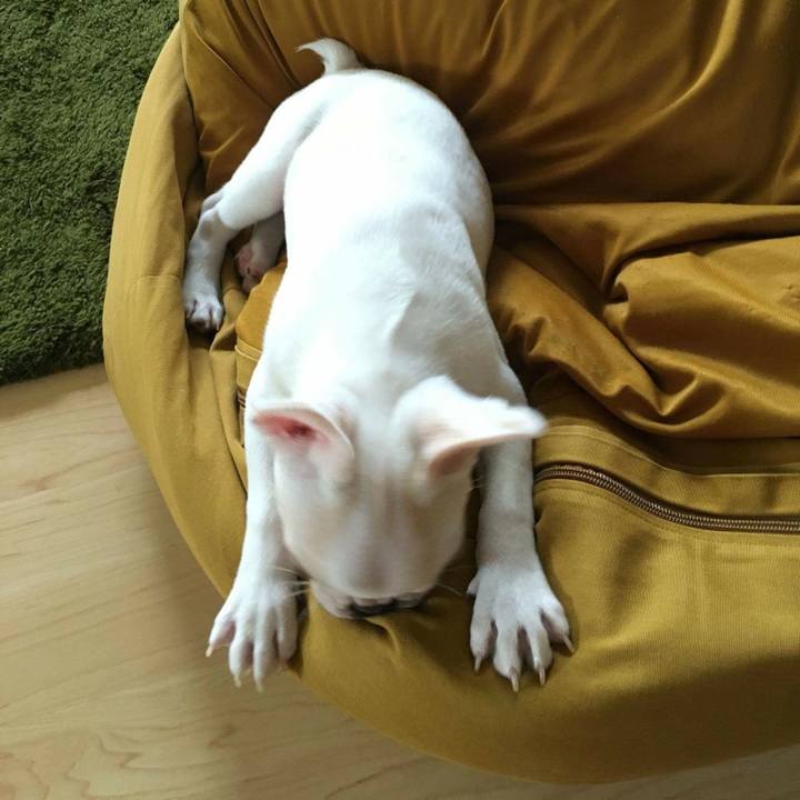 Af55283d 4016 41fa b3b2 dd69c1fa7b81