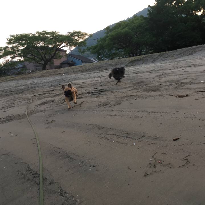 Af557f79 f70e 4817 84cd 7eb4b0804145