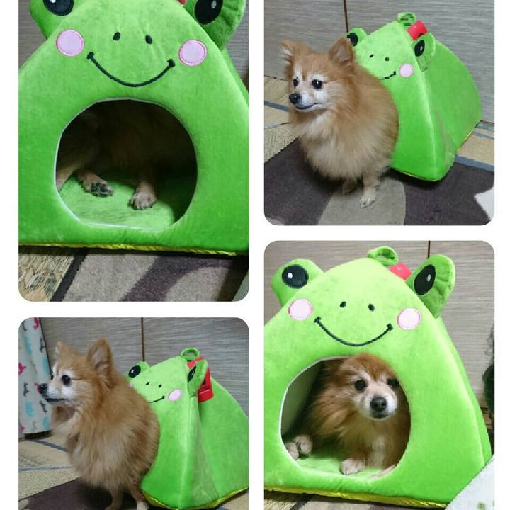 Af560a33 83a0 4ee4 8d3c 7d9c6525be48