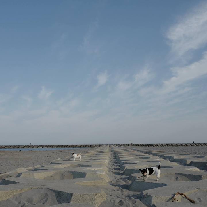 Af56cca3 3f96 4fab 828b cf8e98746186