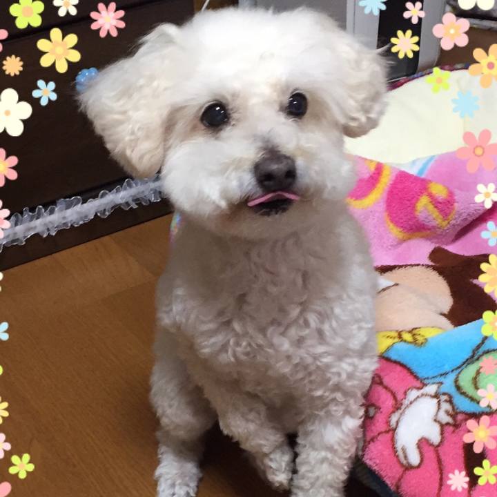 Af56e14e fa37 4e38 9d2d 5212293782e2