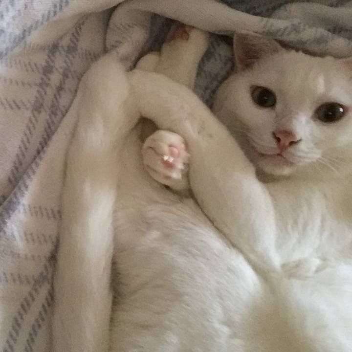 Af56e9d2 6097 4950 a641 c2fd89e3c659