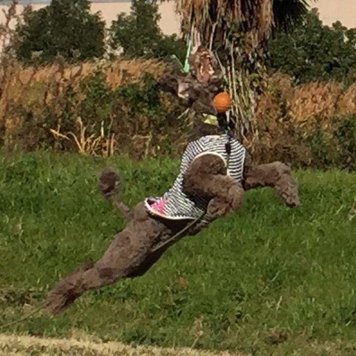 Af572e79 3933 4513 a6cb 399a3f315bfb