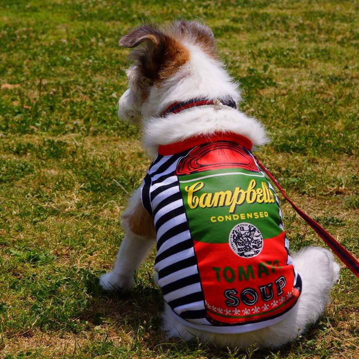 Af57abd7 c706 49ad 8c8a daa6e059385a