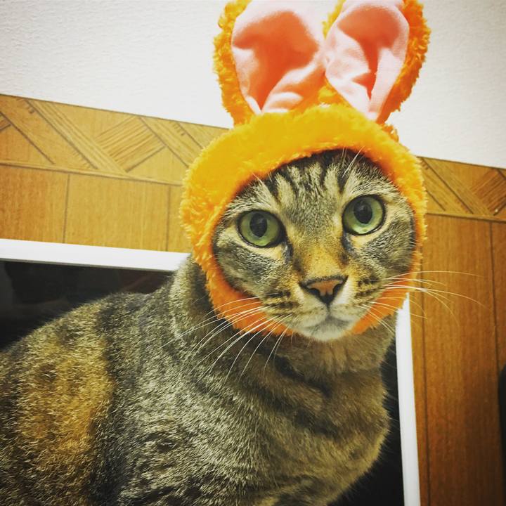 Af57e051 8865 4944 8203 cdb653da04a8