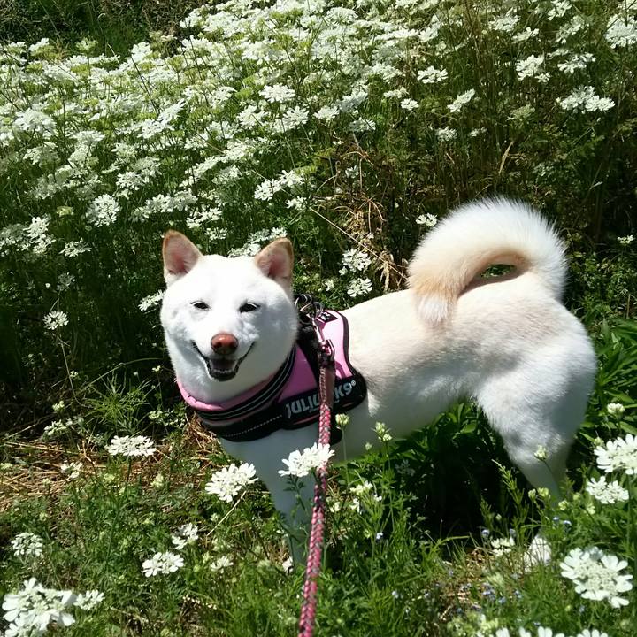 Af57fedc 55e9 4ab6 8475 d7c6791cc809