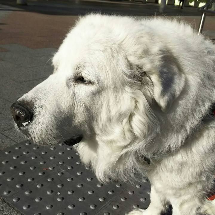 Af580689 d9fe 4d6b ade8 dafb138590d0