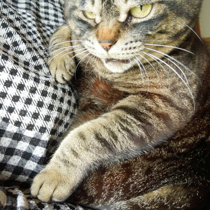 Af589dc6 679a 46c6 b87a e106ddb55c14