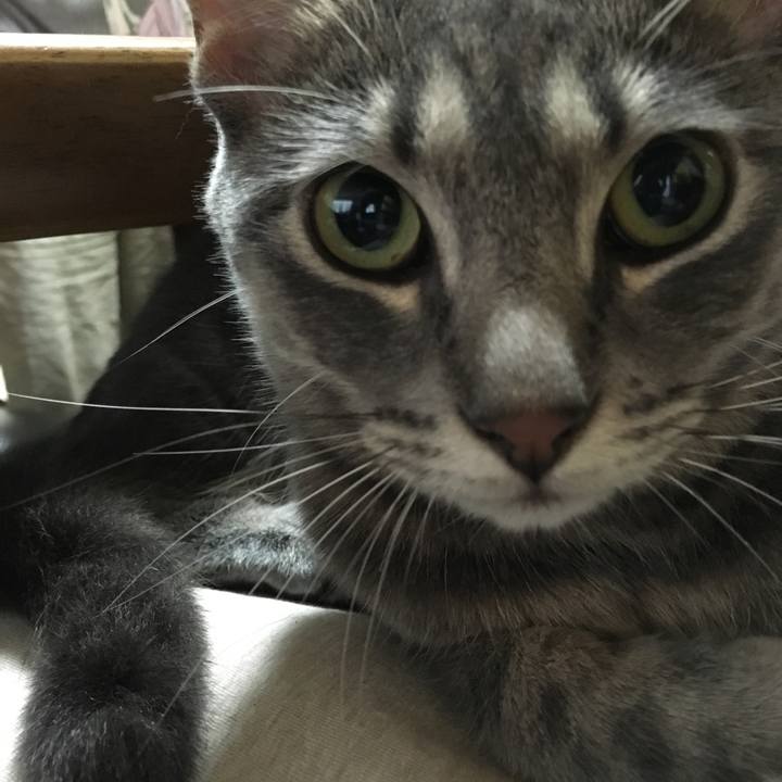 Af58bb80 06fb 4966 ac11 8dd3a416735a