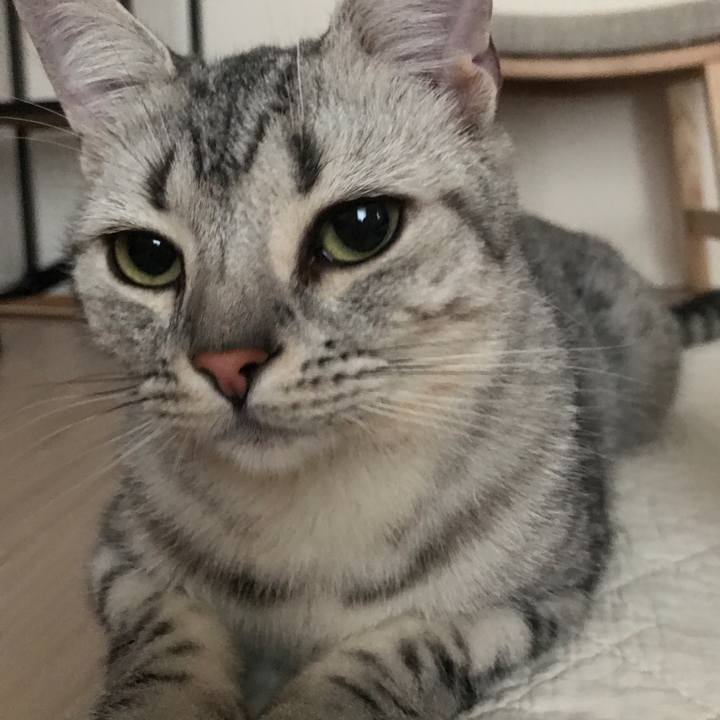 Af58e401 7ca8 4bea 8ac7 c3f8d2dea74d