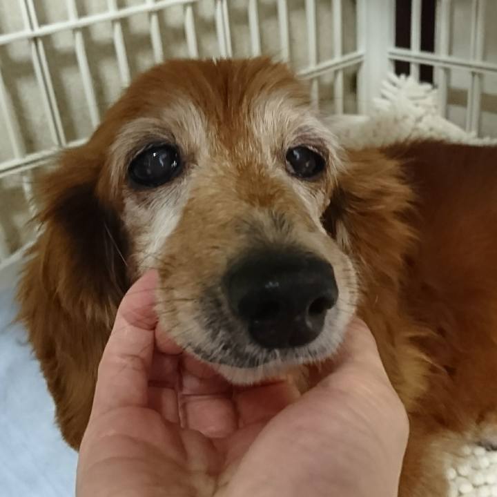 Af596418 5db6 4ac3 aa82 02d5727ae1a9