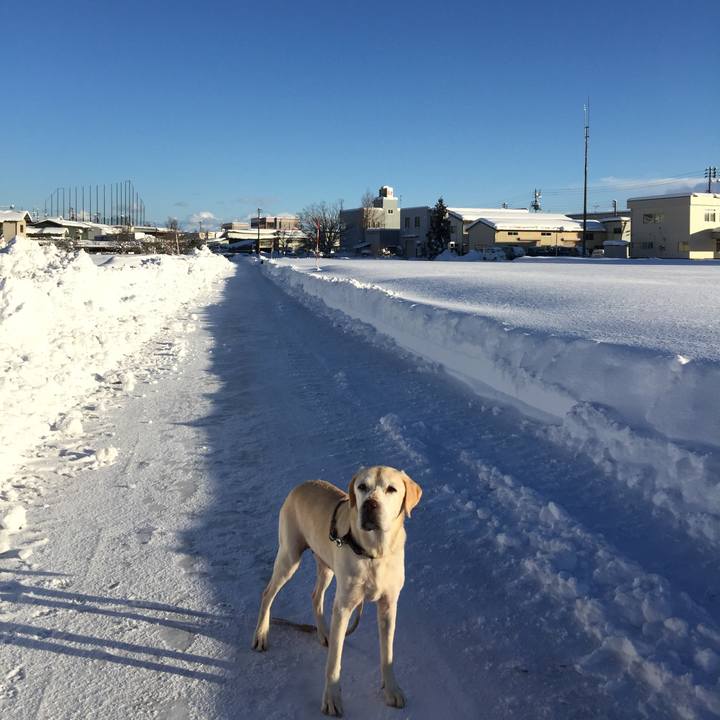 Af59ced9 656a 4c1b b54e b33d10cacc7c