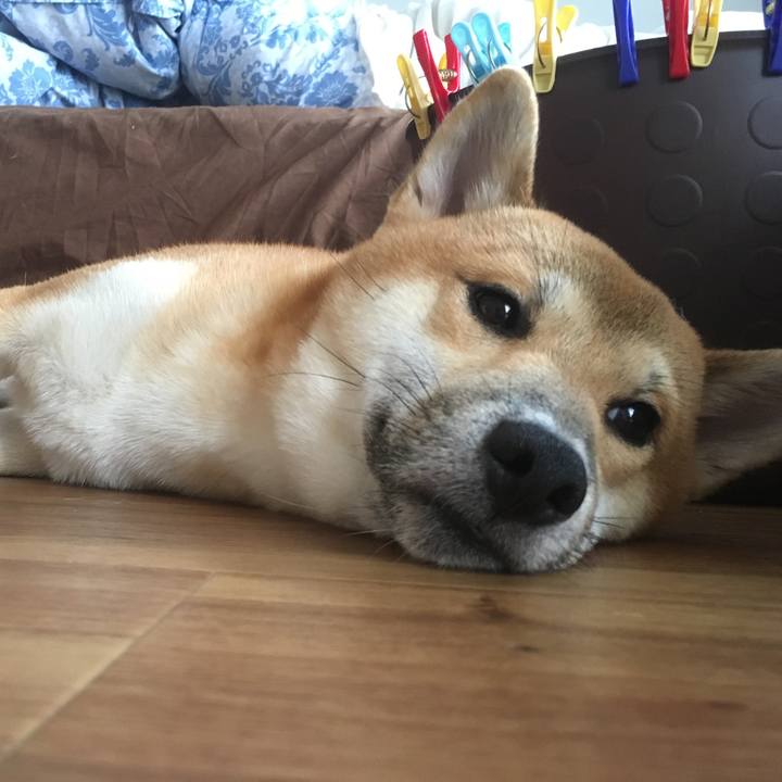 Af59ff0c dc59 49fc 9d19 c2a510f60cc6