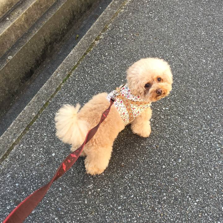 Af5ae2e0 2ef9 464e 9fb4 2b306ec5789f